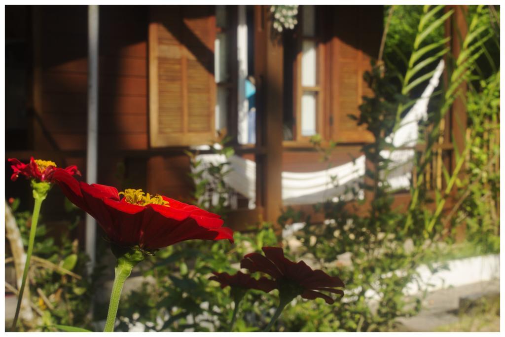 Kitnet E Suite Morada Aguiar - Chale Илья-Гранди Экстерьер фото